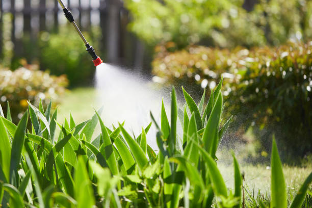 24/7 Emergency Fumigation Services experts in Grafton, ND