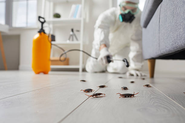 Trusted Cockroach Control service in Grafton, ND - Nex Pest Control